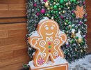 Идеальный фон: подборка мест для новогодних фото в Челнах