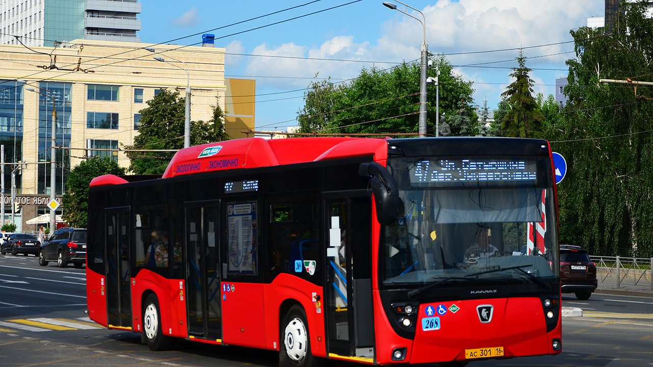 Главная картинка новости: Мужчине, напавшему на водителя автобуса, грозит уголовка