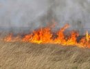Во время противопожарного режима штрафы в Челнах возросли вдвое