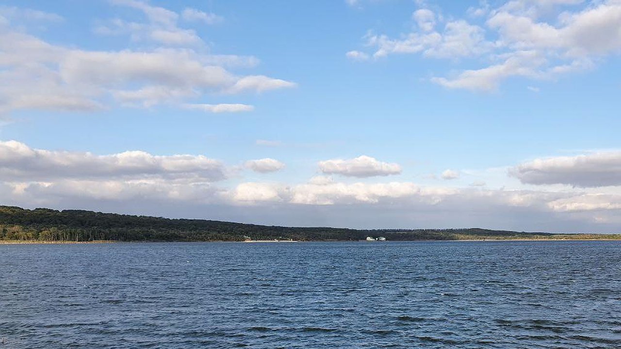 Главная картинка новости: В Татарстане хотят ограничить катание на сапбордах  