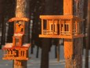 В Комсомольском парке Челнов установили резные кормушки для птиц