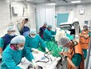 Врачи БСМП начали применять новый метод удаления бляшек в сосудах 