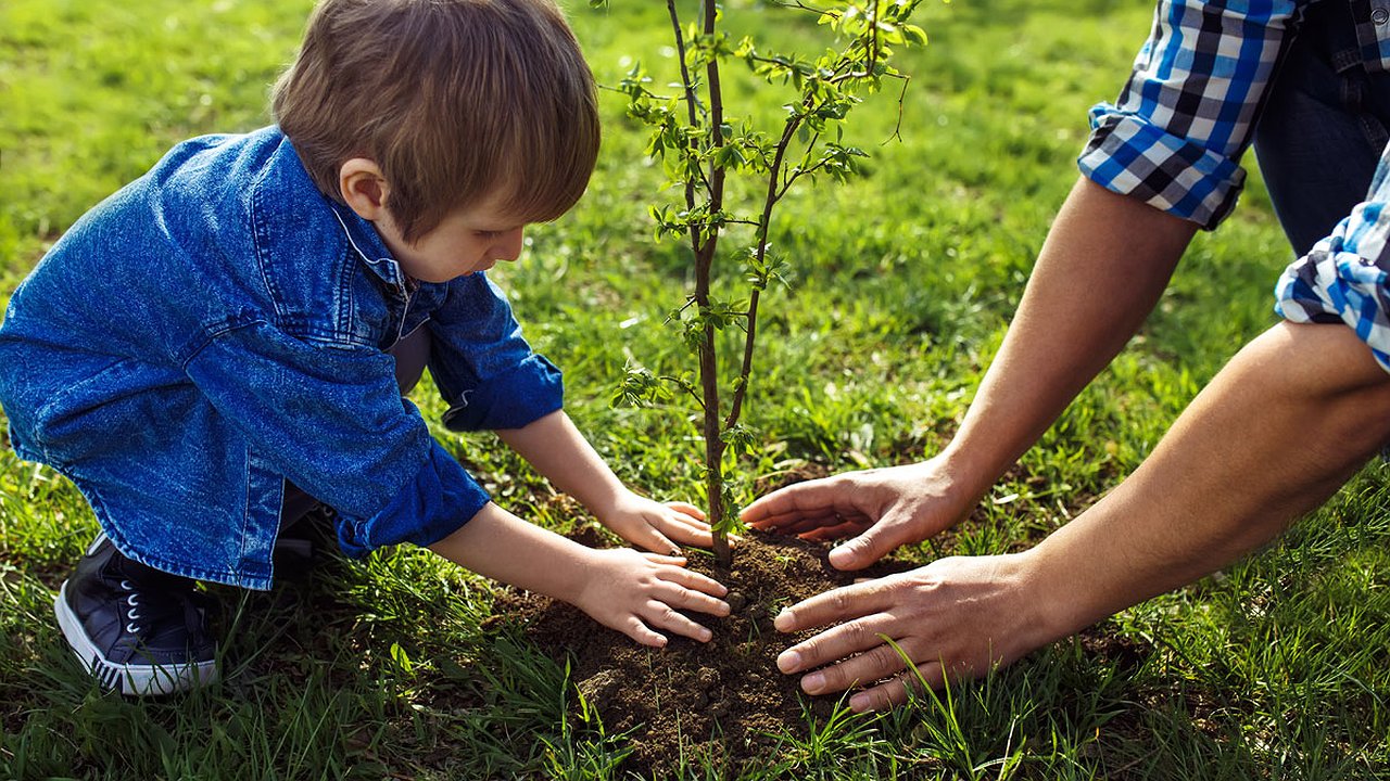 Главная картинка новости: В Набережных Челнах высадят 22 тысяч деревьев и кустарников