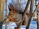 Куда сходить в Челнах в каникулы: кино, концерты, парки 