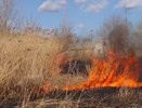 В прошлом году в Челнах зарегистрирован 191 случай возгорания сухой травы