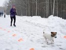 Выходные в Челнах: куда пойти 8, 9 и 10 марта