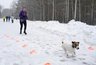 Миниатюра новости: Выходные в Челнах: куда пойти 8, 9 и 10 марта