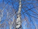 В Татарстане похолодает до -6° С