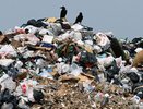 70 экологических нарушений было найдено в РТ