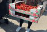 Миниатюра новости: В Челнах бесплатно раздают ящиками клубнику – собралась огромная очередь (фото)