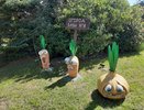 «Нужны яркий ландшафтный дизайн, необычная архитектура»