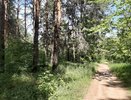 В Татарстане наконец-то воцарится жара! 