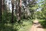 Миниатюра новости: В Татарстане наконец-то воцарится жара! 