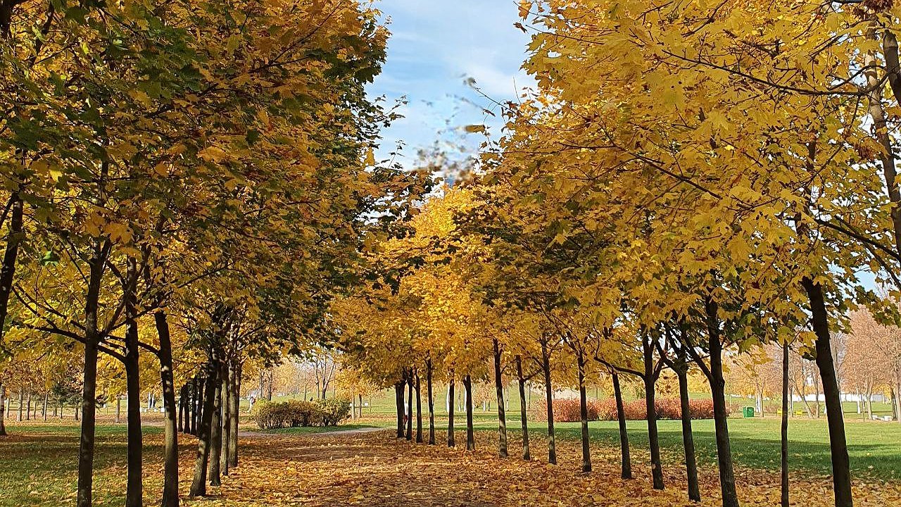 Главная картинка новости: В Челнах появится новый парк – он станет самым крупным в городе