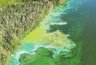 Миниатюра новости: Аномально жаркое лето вызвало бурное размножение сине-зеленых водорослей во многих водоемах Татарстана