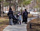 Многодетным семьям Челнов начали выдавать специальные удостоверения