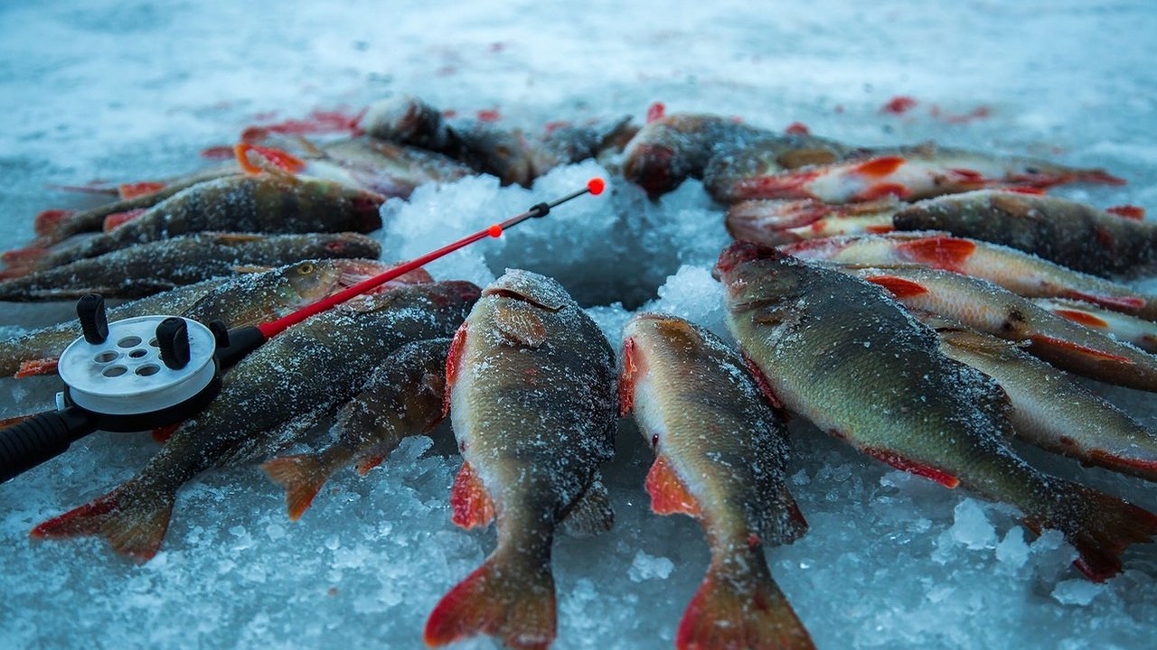 Главная картинка новости: Спасатели предупреждают челнинцев, что лед опасен! Нарушителям грозит штраф
