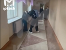 В челнинской школе подрались девочки