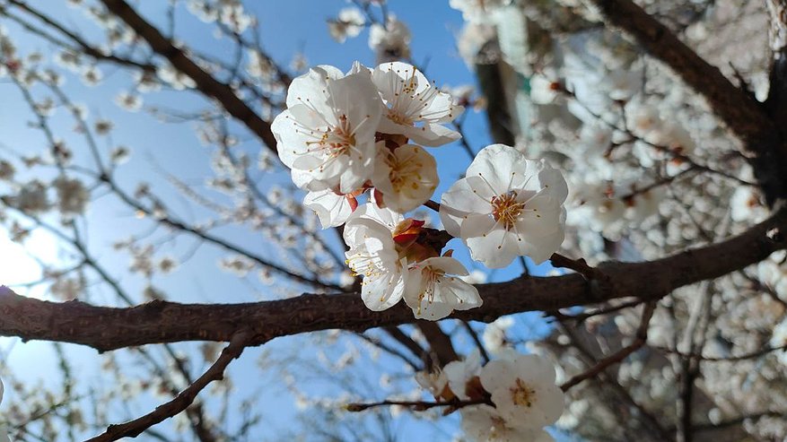 Главная картинка новости: Выходные в Челнах: куда пойти 16, 17 и 18 мая