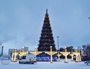 У главной елки Челнов включили праздничную иллюминацию (фото)