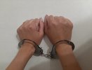 В Челнах служебная собака по горячим следам помогла выйти на след квартирного грабителя