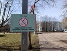 В парках Челнов запретили кормить птиц