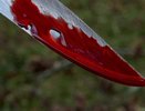 Так не отдыхают или кровавое новоселье со смертельным исходом