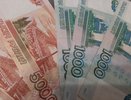 В Татарстане после вмешательства Следкома РТ сельхозпредприятие погасило долг 
