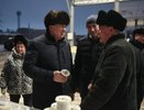 Наиль Магдеев посетил сельхозярмарку в Челнах (фото)