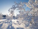 Холодает: ночью в Татарстане до -8°