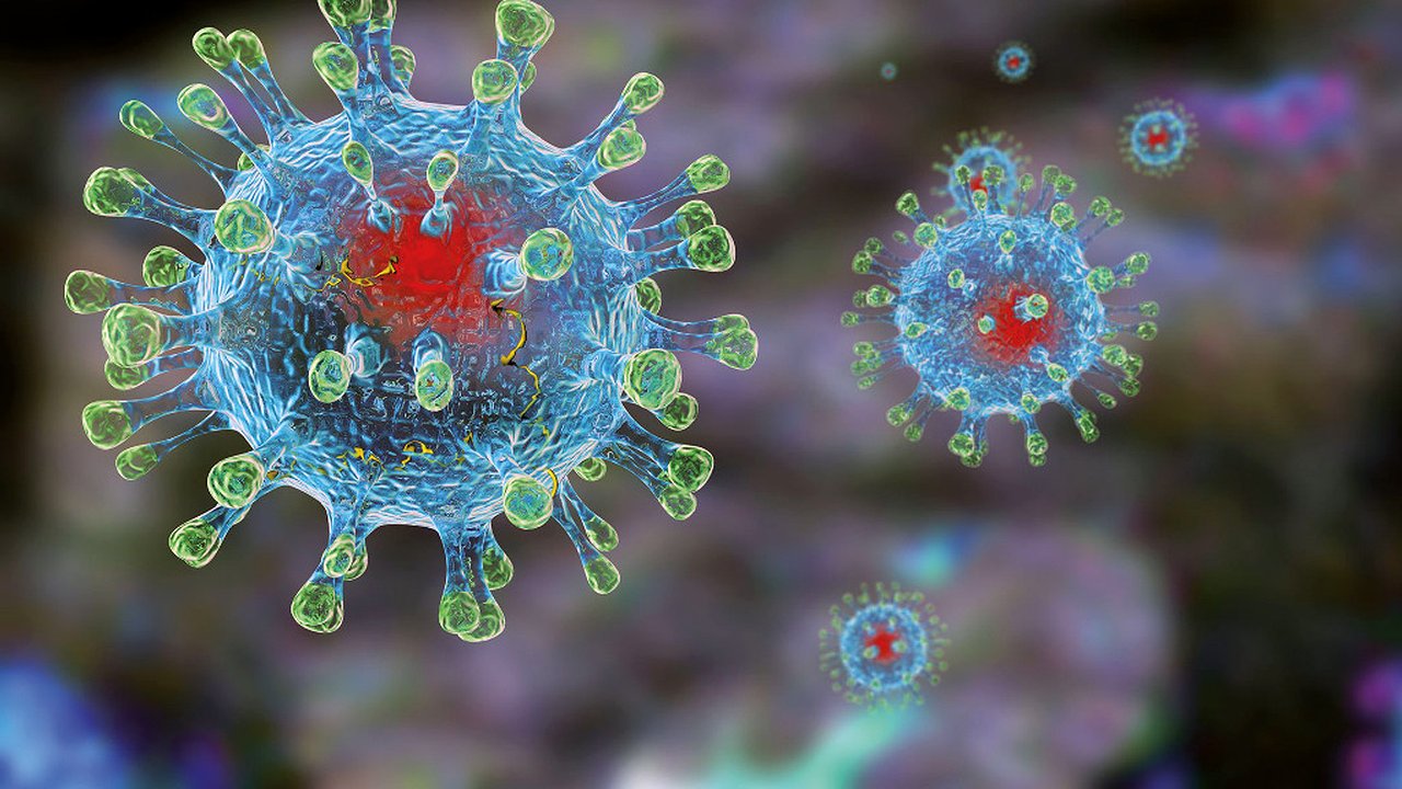 Главная картинка новости: Инфекционист раскрыл три сценария развития коронавируса