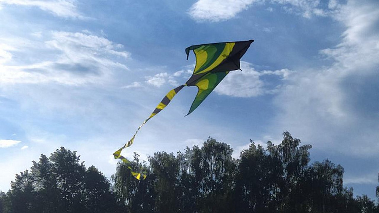 Главная картинка новости: В Челнах пройдет День воздушного змея