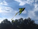 В Челнах пройдет День воздушного змея