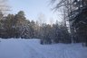 Миниатюра новости: Днем -5 ̊, небольшой ветер, гололедица
