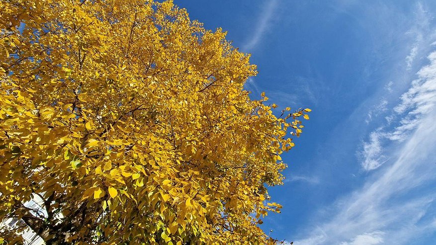 Главная картинка новости: Теплая погода в Челнах продержится еще неделю