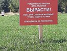 Что это вдруг? В городе начали заботиться об общественных пространствах