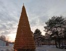 Когда засияют новогодние елки Челнов – места и даты