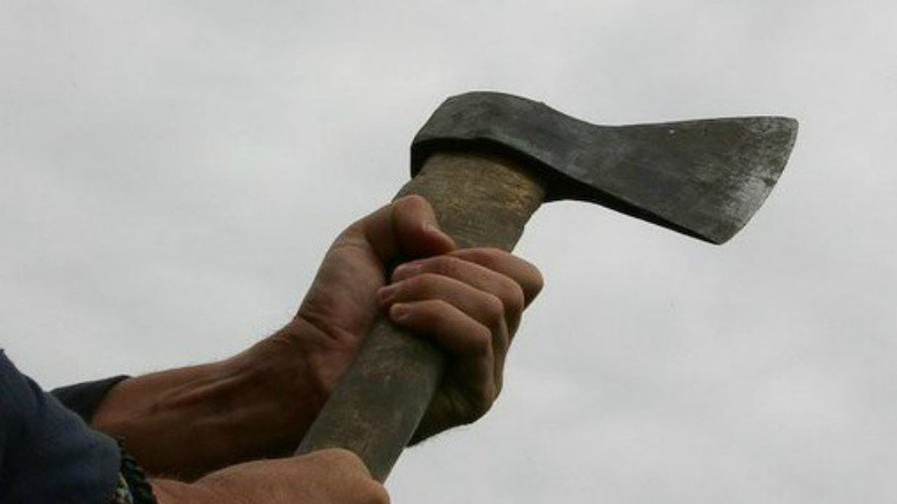 Главная картинка новости: Под Челнами бездомный едва не зарубил топором товарища