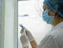 Стало известно, кому прививку от коронавируса делать нельзя