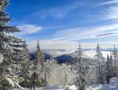 В меню у погоды: снег, метель, сильный ветер