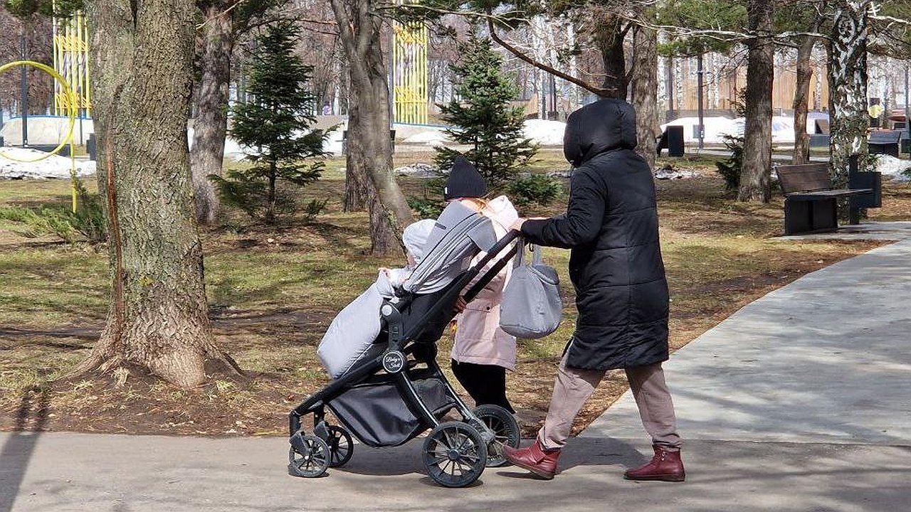 Главная картинка новости: «А под коттеджи, за деньги есть»: многодетные Челнов жалуются на длительное ожидание земель