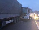 По факту крупного ДТП под Елабугой возбуждено уголовное дело