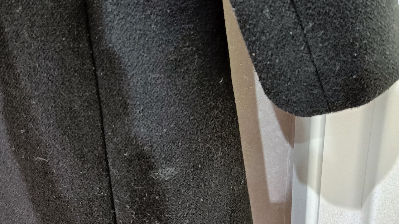 Главная картинка новости: «Вернулось в чьей-то шерсти, волосах, грязи, пыли»