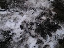Несанкционированные свалки в Челнах