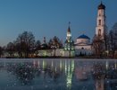 Редкое явление: в Казани появились ледяные цветы