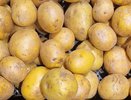 За неделю цены на картофель в Татарстане подскочили на 8%
