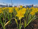 Выходные в Челнах: куда пойти 8 и 9 марта