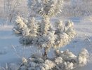 Мокрый снег, ветер, гололед