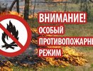 В Татарстане объявлен особый противопожарный режим