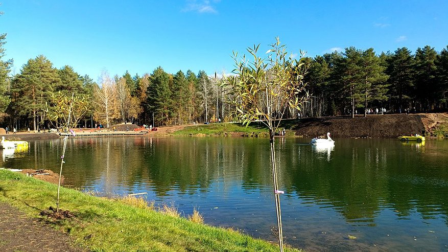 Главная картинка новости: В Татарстане обновлен температурный рекорд за 101 год